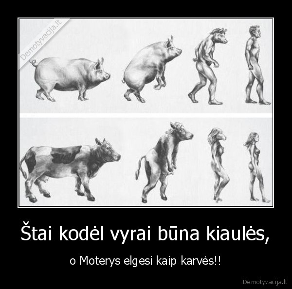 gyvunai
