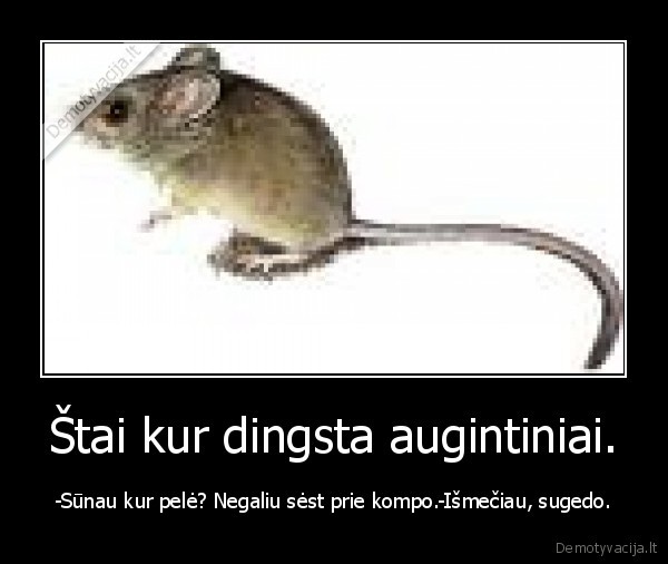 Štai kur dingsta augintiniai.