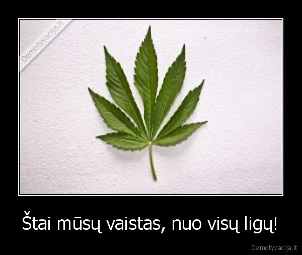 remuo,galva,px, d