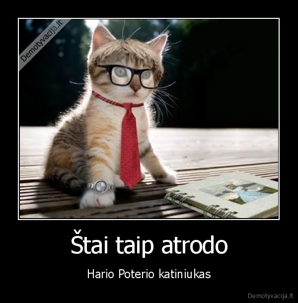 Štai taip atrodo