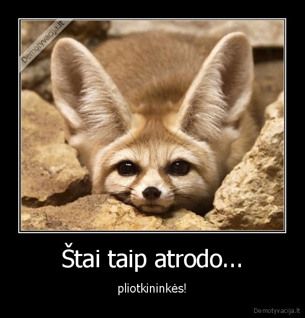 Štai taip atrodo...