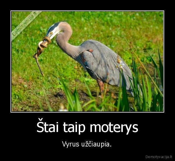moterys,gyvate,snapas,uzciaupe