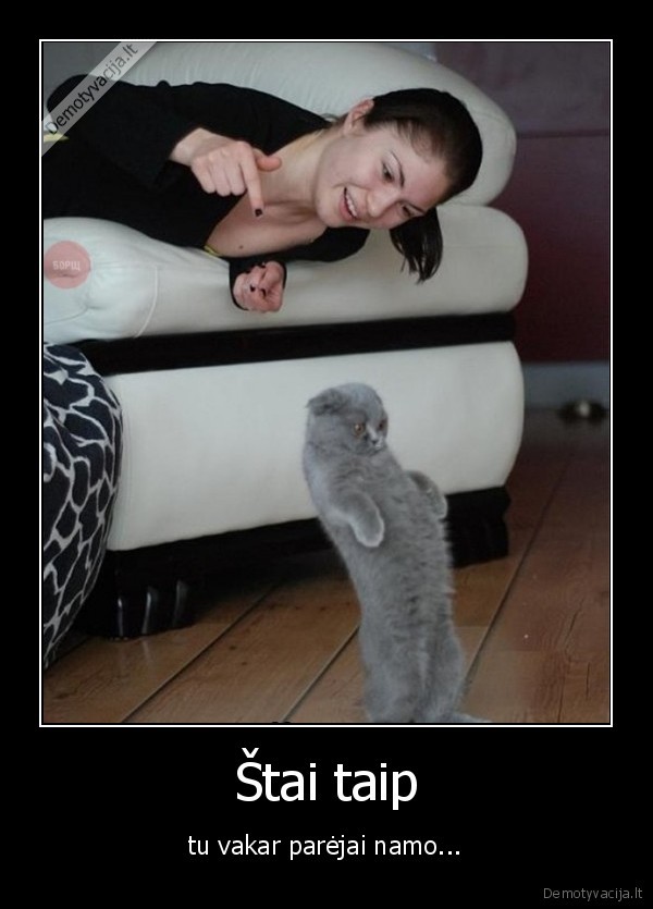 Štai taip