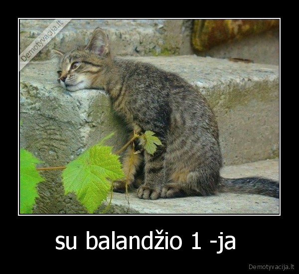 su balandžio 1 -ja 