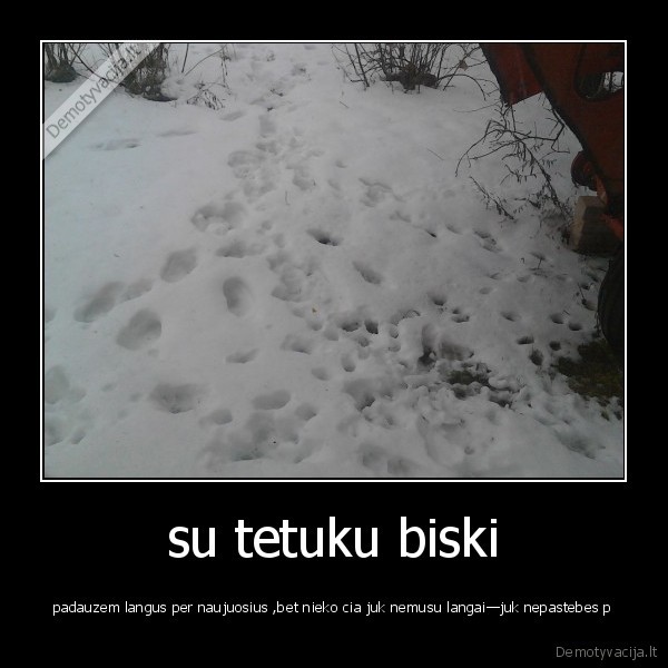 tetis, ir, as