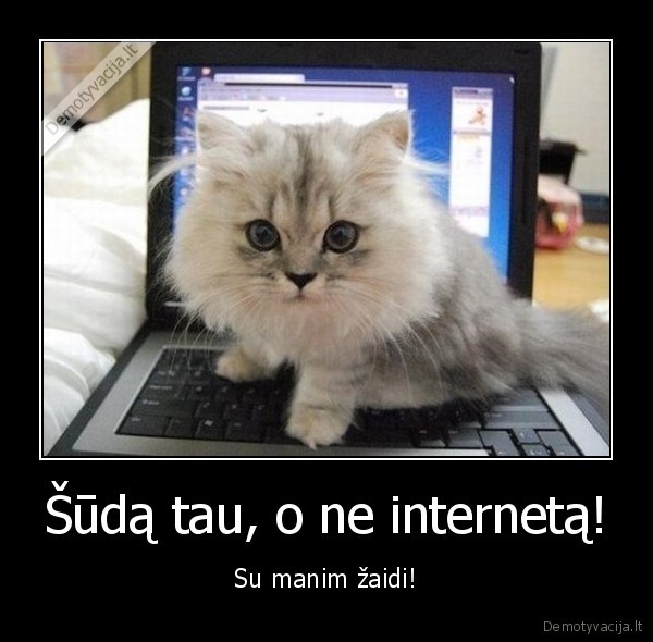 Šūdą tau, o ne internetą!