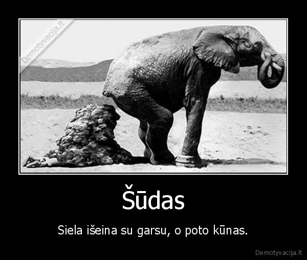Šūdas