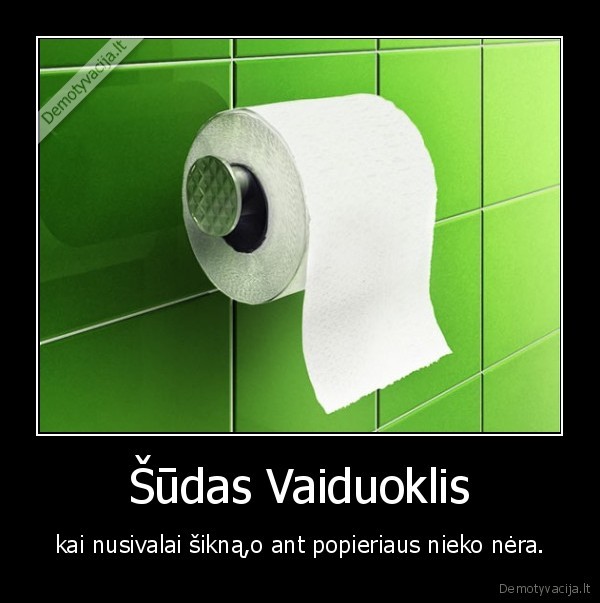Šūdas Vaiduoklis