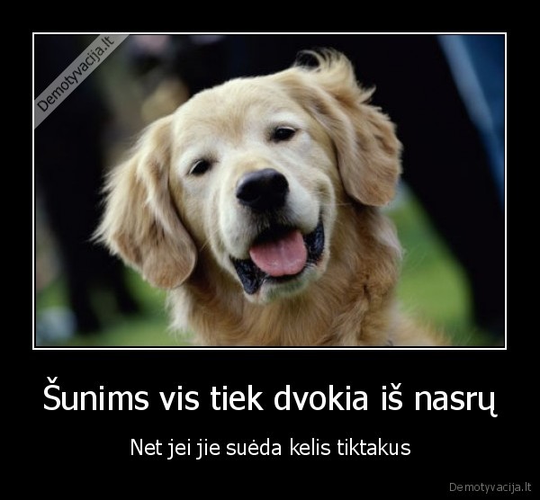 Šunims vis tiek dvokia iš nasrų