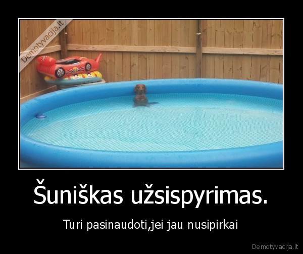 suo,baseinas