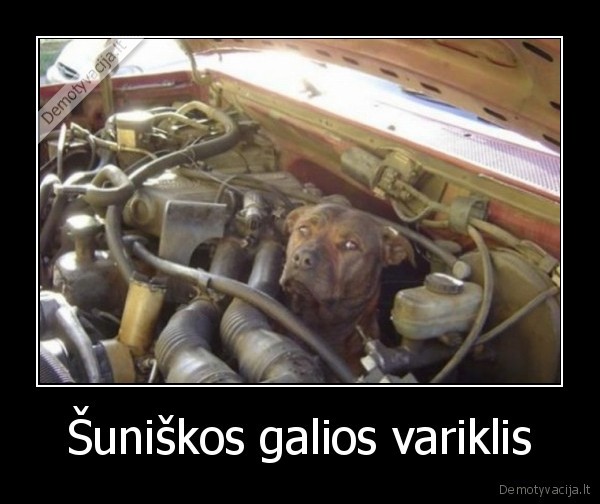 Šuniškos galios variklis