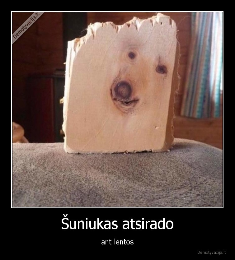 lenta,medis,suo