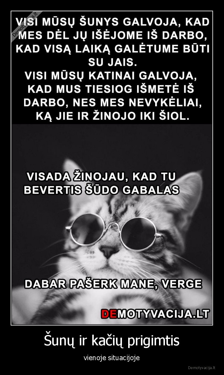 suo,katinas,karantinas,pandemija