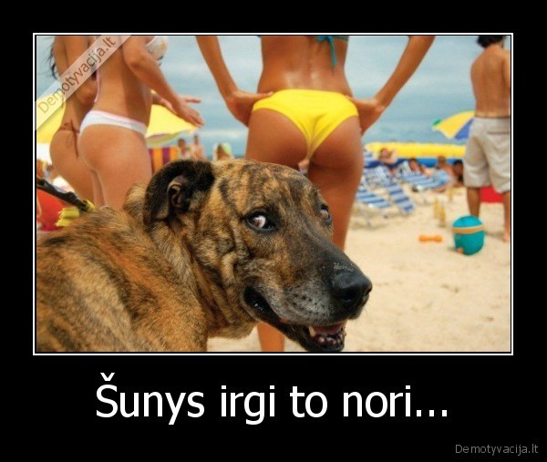 Šunys irgi to nori...