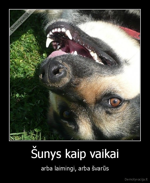 Šunys kaip vaikai