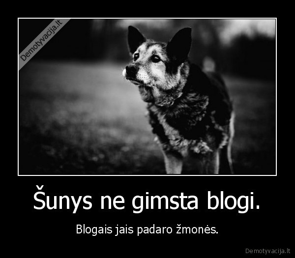 Šunys ne gimsta blogi.