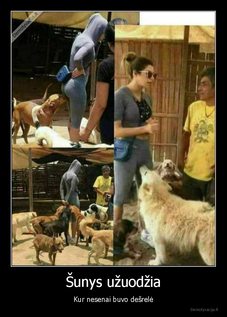 mergina