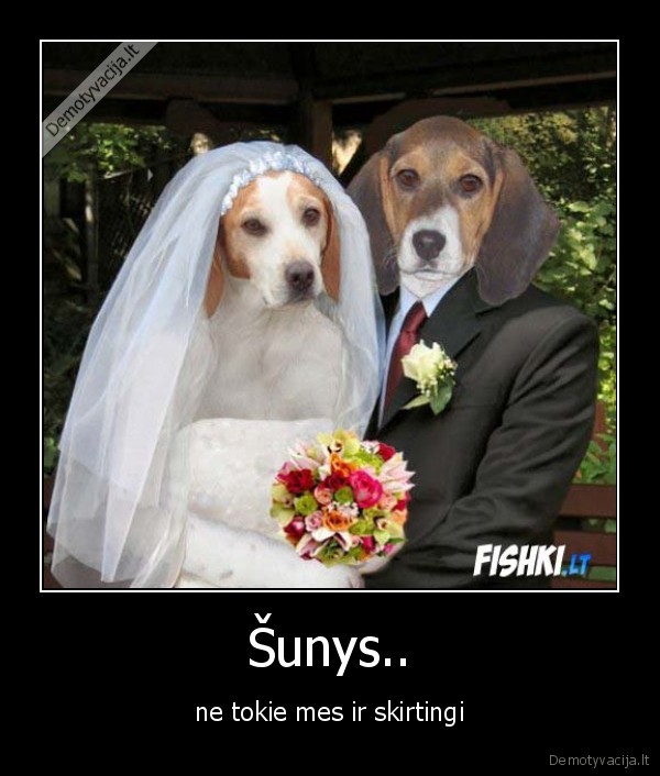 vestuves,suo