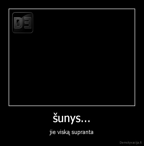 šunys...