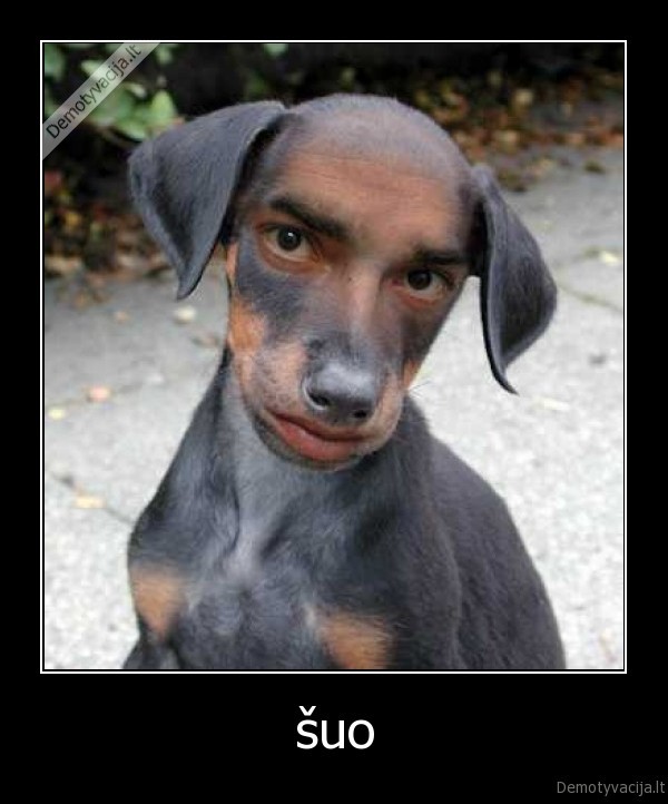 suo