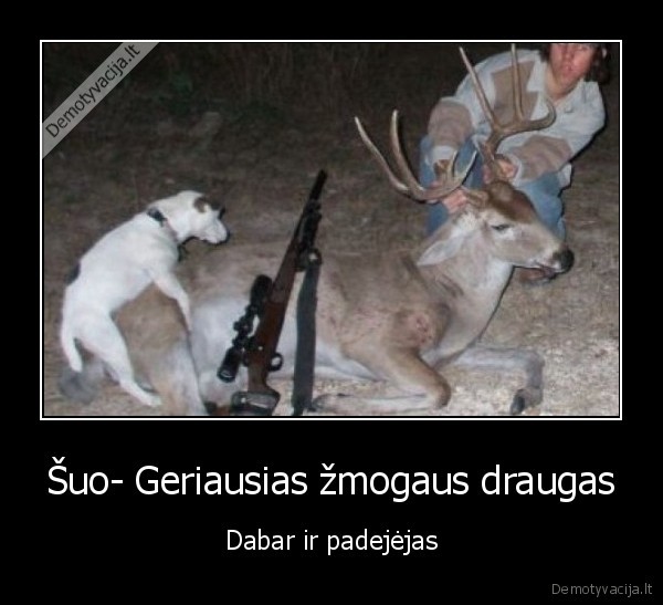 Šuo- Geriausias žmogaus draugas