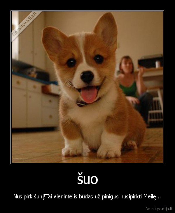 suo