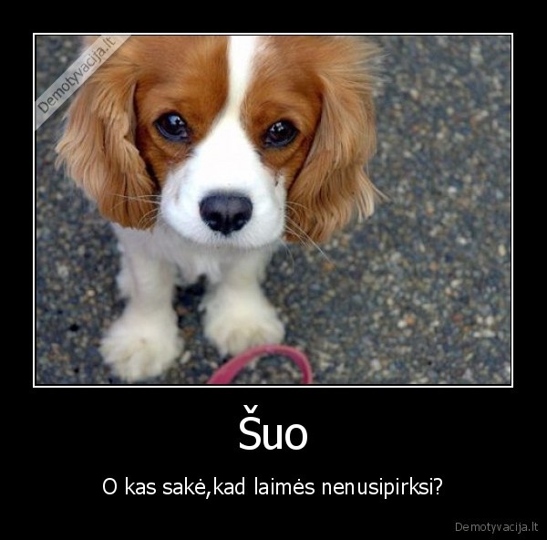 suo,laime