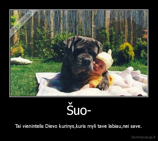 Šuo-