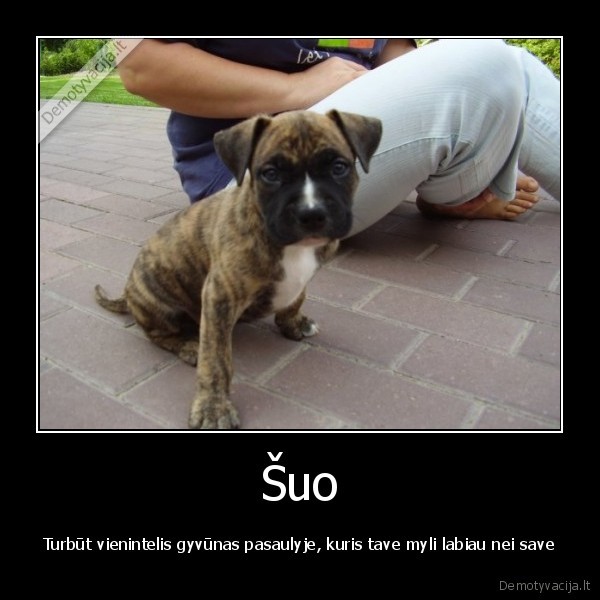 suo