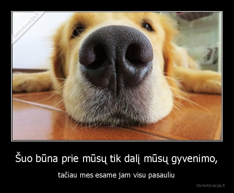 suo,meile,pasaulis,gyvenimas