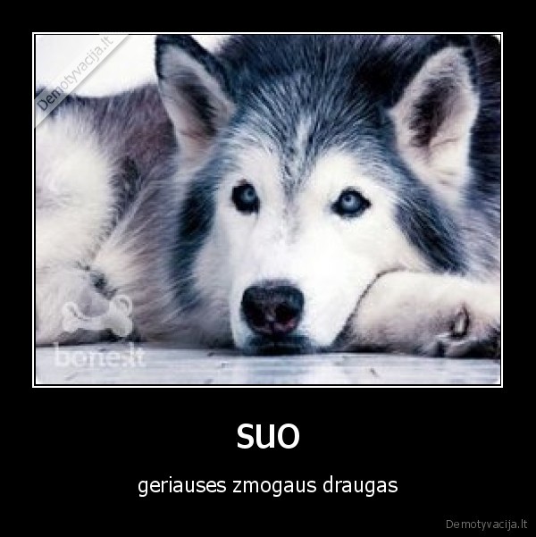 suo
