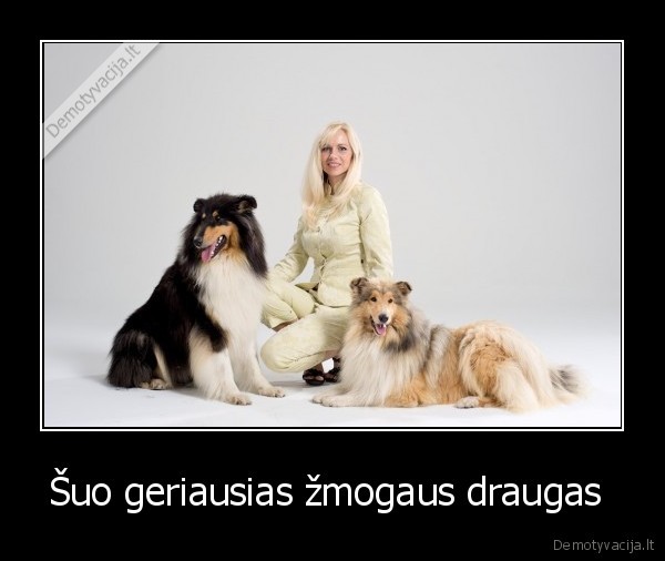 Šuo geriausias žmogaus draugas 