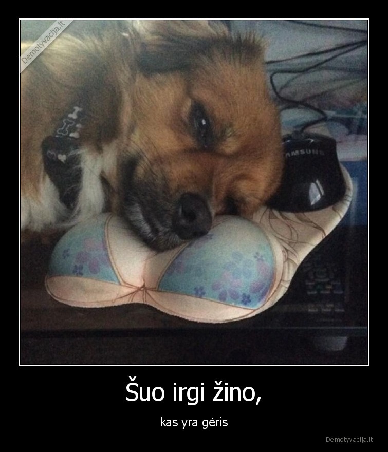 papai,suo,geris