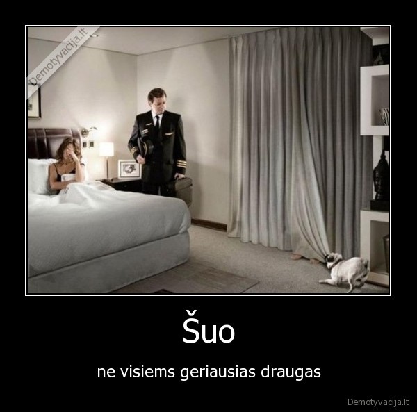 suo,geriausias, draugas,neistikymybe,meiluzis,sex
