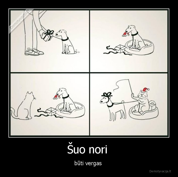suo,katinas,vergas