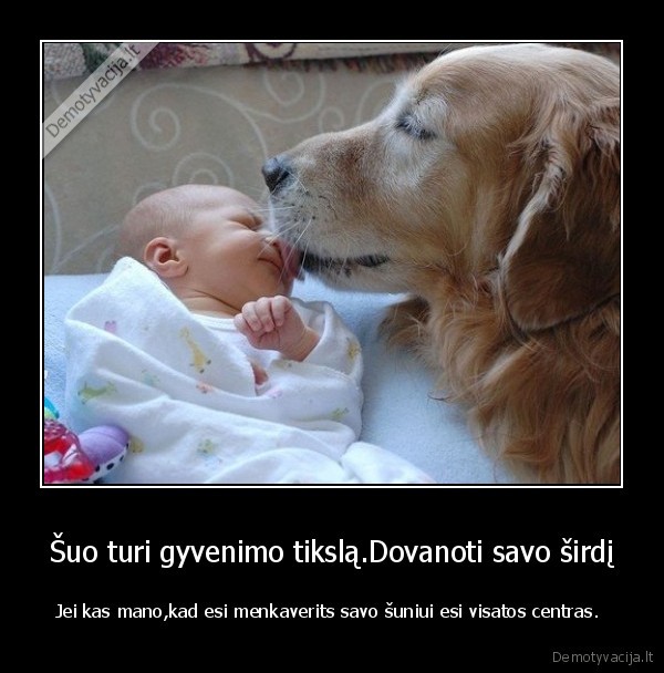 Šuo turi gyvenimo tikslą.Dovanoti savo širdį