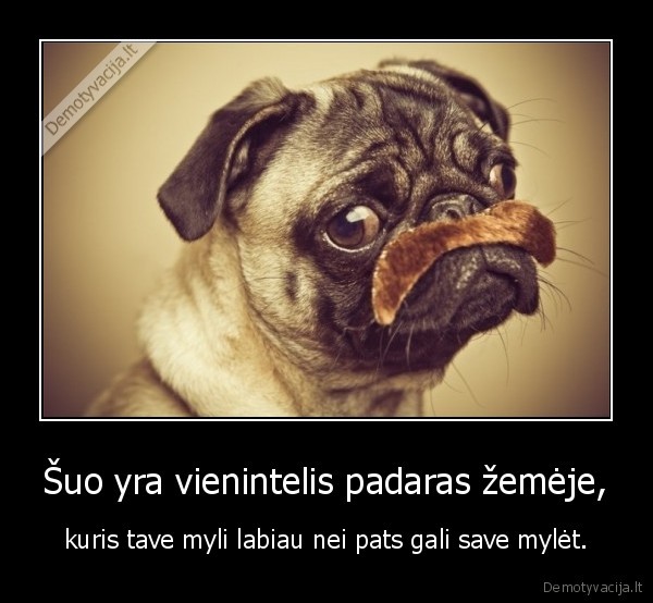 suo,meile