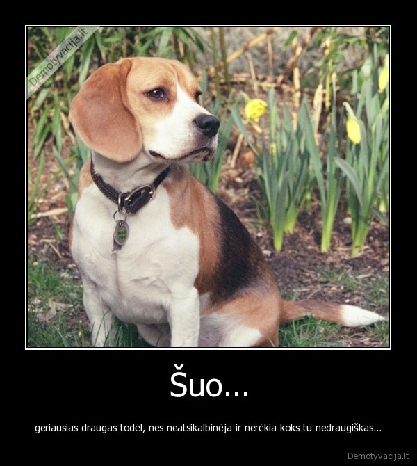 suo,draugas,geras