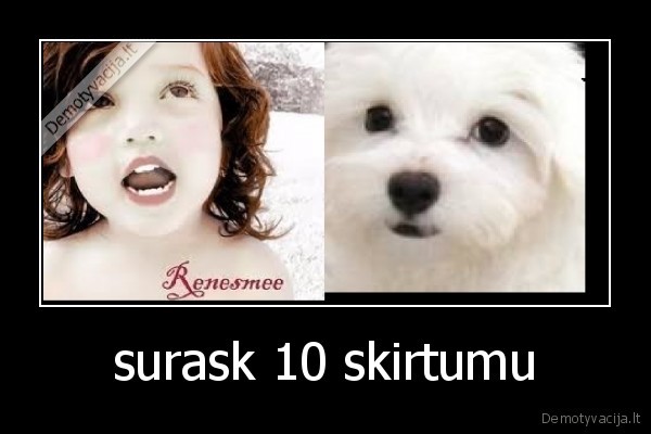 suo, tampa, zmogumi, siknosparniu
