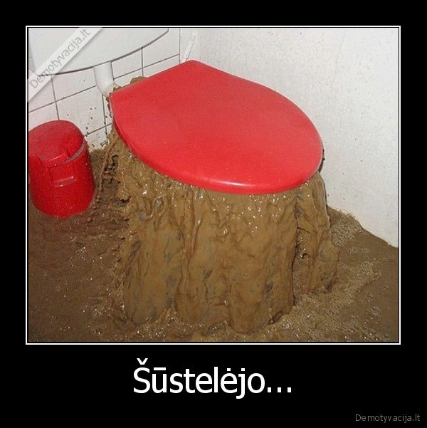 Šūstelėjo...