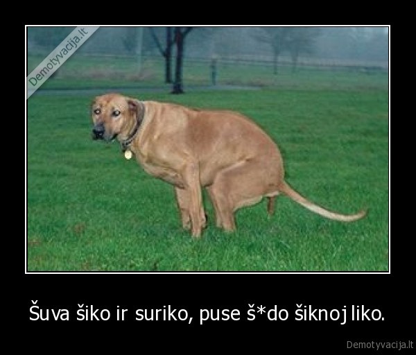 Šuva šiko ir suriko, puse š*do šiknoj liko.