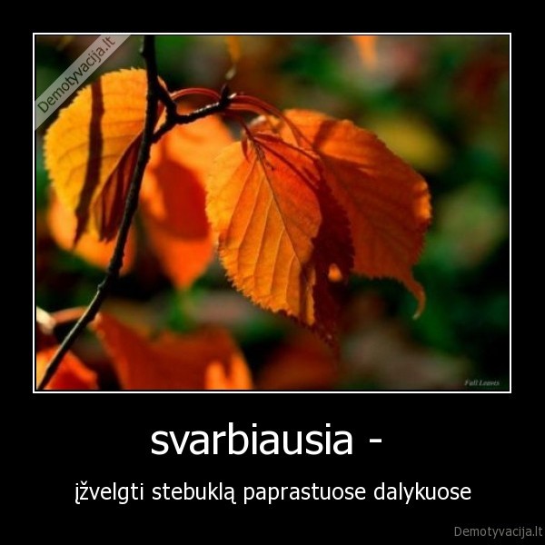 svarbiausia - 