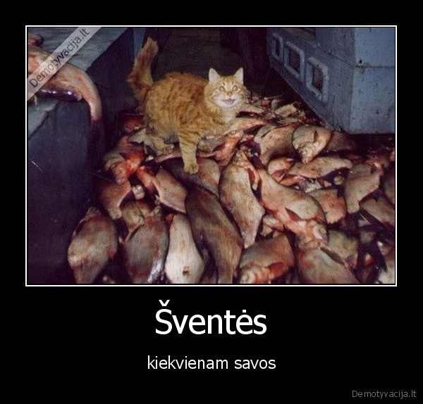 katinas, zuvis