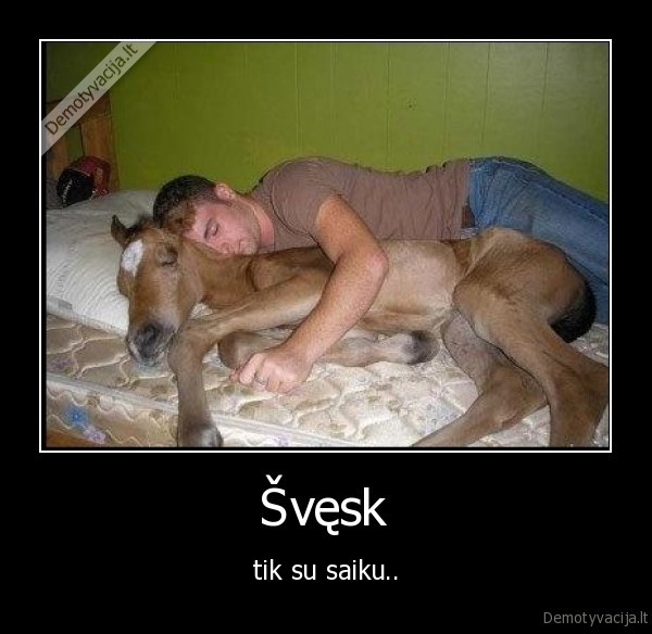 Švęsk