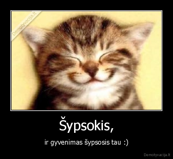 Šypsokis,