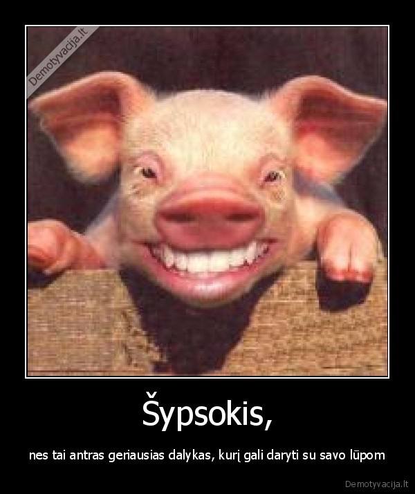Šypsokis,