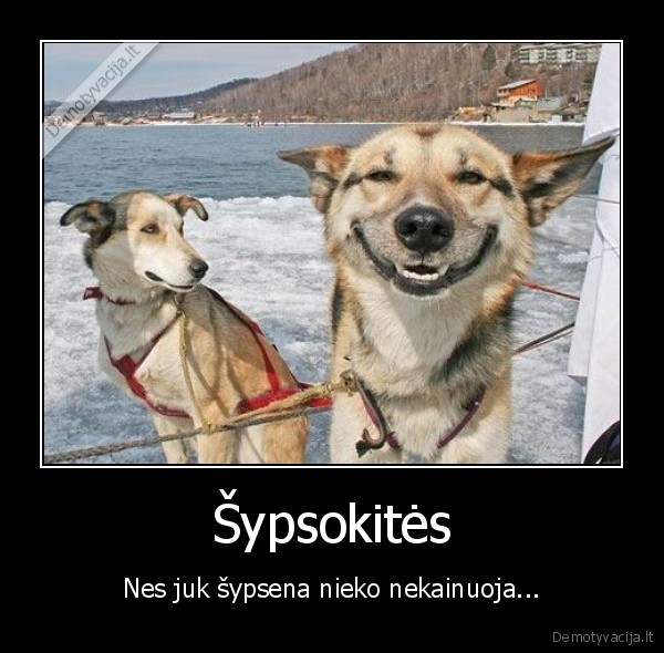 Šypsokitės