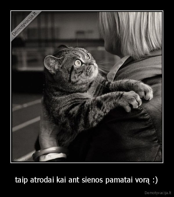 taip atrodai kai ant sienos pamatai vorą :)
