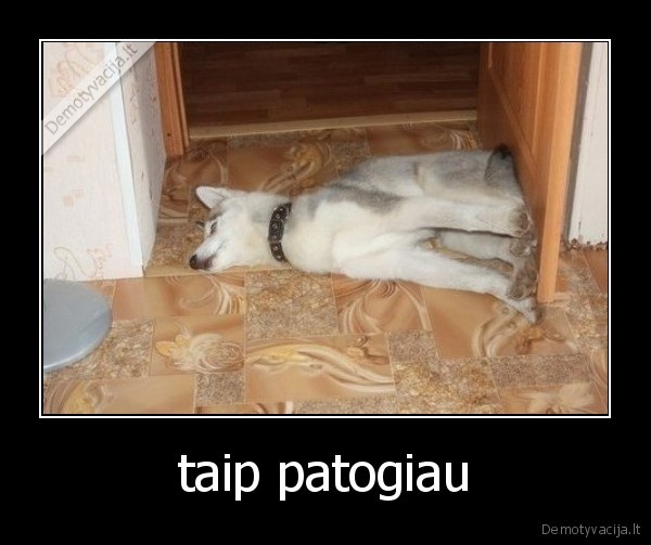 taip patogiau
