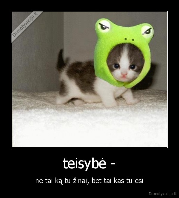 teisybė -